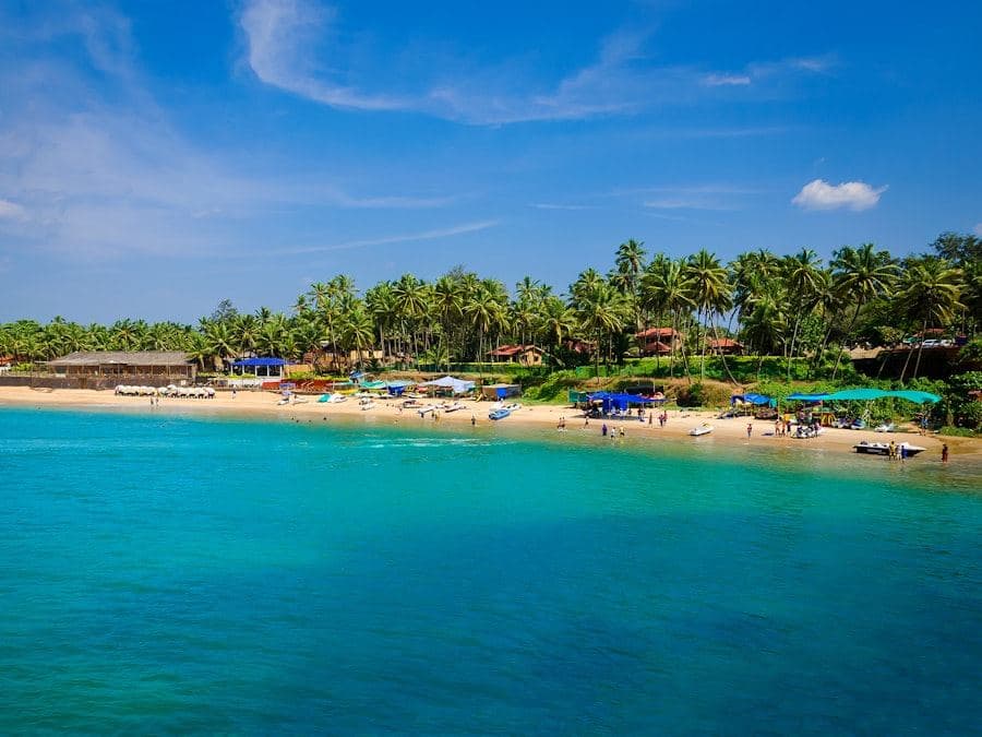 Playa de Punta Cana con palmeras, viaje todo incluido